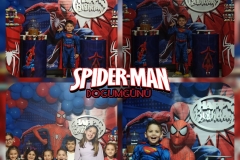 eventarn-organizasyon-izmir-spiderman-konsept-dogumgunu